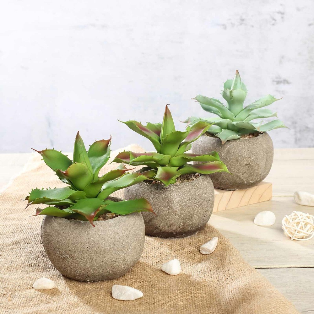 Green 3 Assorted 5″ Faux Home Garden Aloe Succulent Plants Round Pots Sale