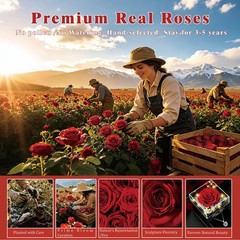 Lebana Preserved Red Real Rose with Heart I Love You Necklace 100 inches,
