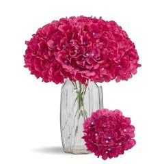 80 PCS Full Hydrangea Flowers Fuchsia Silk Hydrangea Small 80pcs Fuchcia