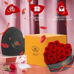 Impouo 16-Piece Preserved Rose Birthday Gifts for Women, Eternal 16 Rose, Red