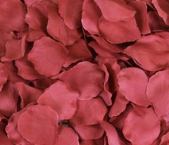 200 Silk Rose Flower Petals Confetti Fake Flowers Engagement Wedding Party Red