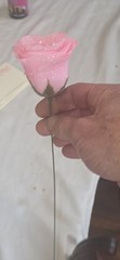 High end good quality artificial roses