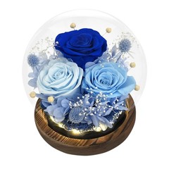 Gifts for Mom, Mothers Day from Husband Daughter Son, Birthday Women Wife Gifts.