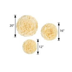 24 pack 12″ 16″ 20″ Ivory and Cream Tissue Paper Carnation Flowers Home Backdrop