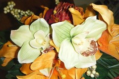 Tropical Orchid Cascade Bouquet