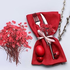 Pcs Dried Baby Breath Flowers, Red Mini Natural Gypsophila Dried Pressed 50