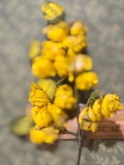 Yellow FLower Buds Corsage 4.05″ x 3″ Millinery flowers 18 Vintage