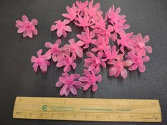 24 Pieces: Genuine 1960s Vintage Retro Poly Flower Petals for Wedding, Dark Pink