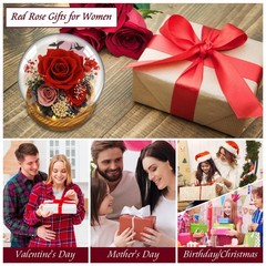 MOKOQI Red Rose Mothers Day Gifts for Mom Forever Flowers D3-