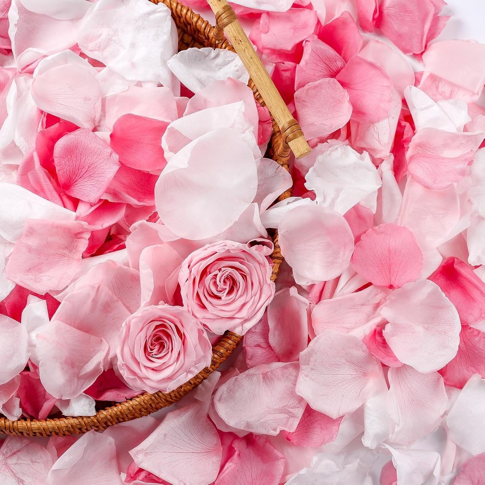 300 PCS Real Pink White Rose Flower Petals Confetti for Wedding Flower Girl