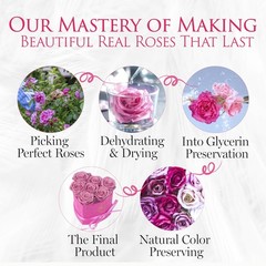 GLAMOUR BOUTIQUE 7 Flower Forever Heart Shape 7 Roses, Velvet Pink 7 Roses