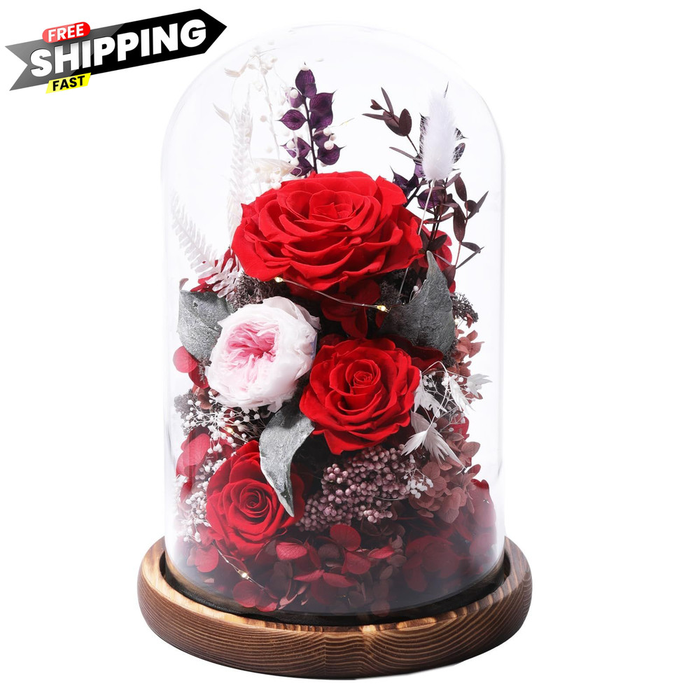 lovenfold Flowers for Delivery Preserved flowers Rose in Glass Red – Winter