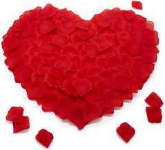 1200PCS Rose Petals for Bedroom -Artificial Roses Red Petal- Marry Me, Valentine