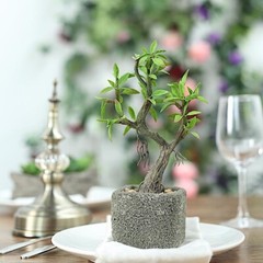 BROWN 9″ tall Concrete Pot with Faux Mini GREEN Willow Tree Wedding Decorations