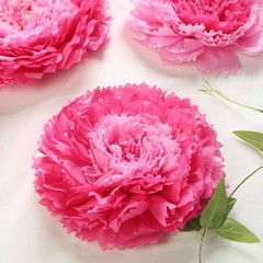24 pack 7″ 9″ 11″ Fuchsia and Pink Tissue Paper Carnation Flowers Home Backdrop
