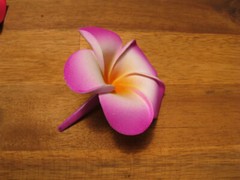 Frangipani Hairclips 7cm flower with matching color clips.