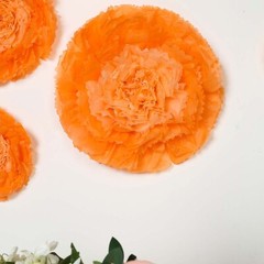 12 pack 12″ 16″ 20″ Coral and Orange Tissue Paper Carnation Flowers Backdrop