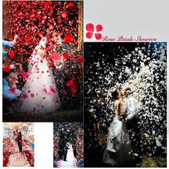 1000 Pcs Fake Rose Petals, Artificial Flowers for Romantic Night, Blue