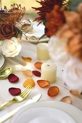 Lookein 300pcs Terracotta Rose Petals Satin Flower Petals for Wedding Flower …