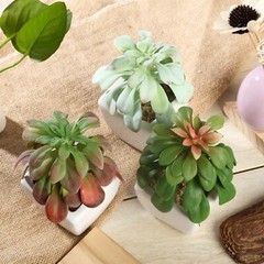 3 Assorted 5″ Faux Echeveria Succulent Plants Off White Pots Wedding Party