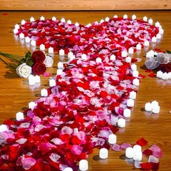 6000 Pcs Artificial Rose Petals with 72 Pcs White with Red Series Petal