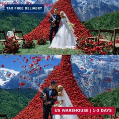 CODE FLORIST 2200 PCS Dark-Red Silk Rose Petals for Romantic Night,Wedding,Propo