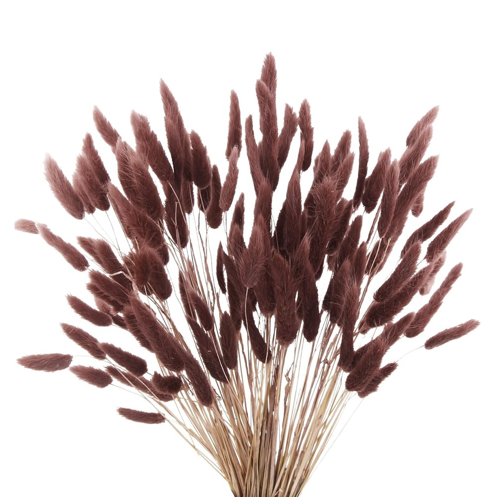 120pcs Dark Brown Bunny Tails Dried Flowers, 17″ Ancora Red