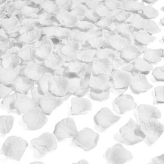 Silk Rose Petals 1000pcs, Fake Flower Decor, Anniversary Backdrop, White