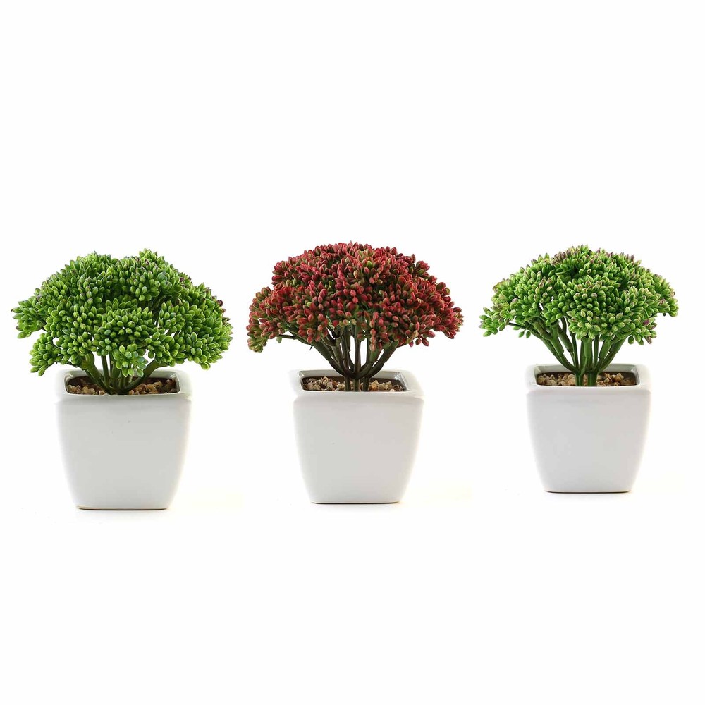 Set of 3 6″ tall Assorted Faux Sedum Succulent Plants with Off White Pots SALE