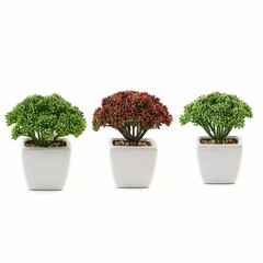 Set of 3 6″ tall Assorted Faux Sedum Succulent Plants with Off White Pots SALE