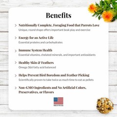 LAFEBER’S Classic Nutri-Berries Parrot Food, Non-GMO, Human-Grade, 14 lb