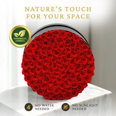 Moss Heart 100 Preserved Roses, Forever Flowers for Delivery 100 Red