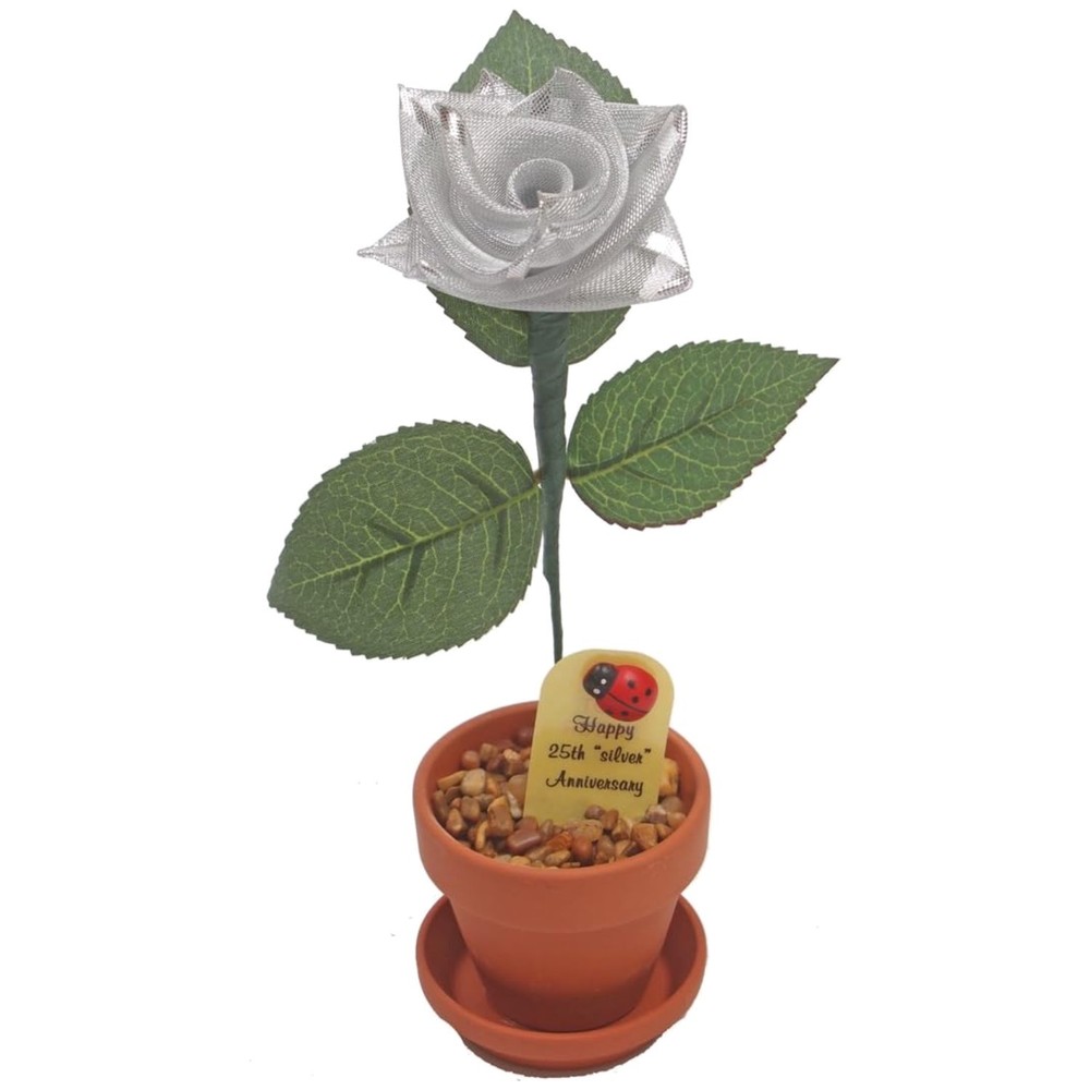 Elegant Silver Rose for Anniversary Celebration