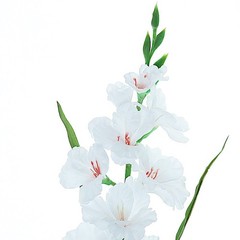 3 pcs 36″ Silk Gladiolus Artificial Flower Spray Stems Wedding Party Decorations