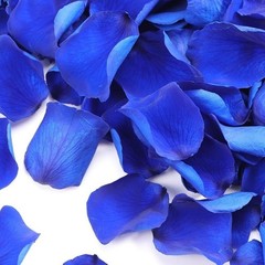 Natural Rose Petals Wedding Decor Romantic Nights Proposal Decorations Crafting