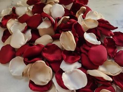 Burgundy Flower Girl Petals Beige Boho Wedding Ceremony Decor Proposal We Do
