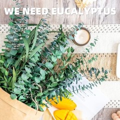 3kinds Natural Eucalyptus Stems 36PCS – 17inch Eucalyptus Set for 36PCS-17INCH