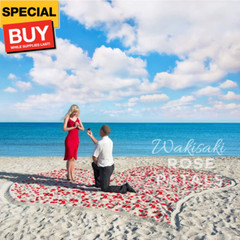 (Pre-Separated, Scented) Artificial Silk Rose Petals for Wedding Flower Petals