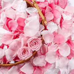 300 PCS Real Pink White Rose Flower Petals Confetti for Wedding Flower Girl to T