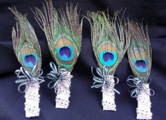 Peacock Feather Wedding BOUTONNIERE for Groom Groomsmen CORSAGE PROM Quinceañera