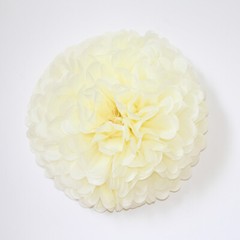 2x DIY Tissue Paper Pom Poms Flowers Birthday Wedding Party Backdrop Home Decor