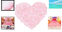Beautiful 1000 Pcs Light Pink & White Silk Rose Petals for Parties & Weddings