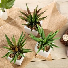 Set of 3 5″ tall Assorted Faux Succulent Aloe Plants with Off White Ceramic Pots