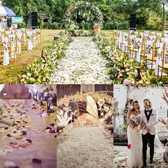 Versatile 1000 Pcs Black Faux Silk Rose Petals for Indoor & Outdoor Decoration