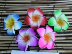 Frangipani Hairclips – colours & white – S – L