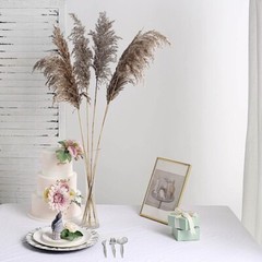 6 NATURAL 32″ Pampas Grass SPRAYS Dried Plant STEMS Party Events Decorations