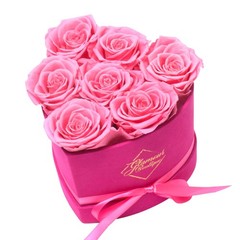 GLAMOUR BOUTIQUE 7 Flower Forever Heart Shape 7 Roses, Velvet Pink 7 Roses