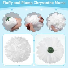 28 Pcs Homecoming Mum Flower Decoration 6.5/4.5 Inches Silver/White