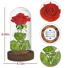 SW Preserved Rose Enchanted Red Silk in Glass Dome with LED