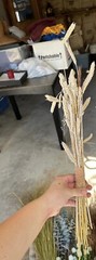 Dried Floral Bundle